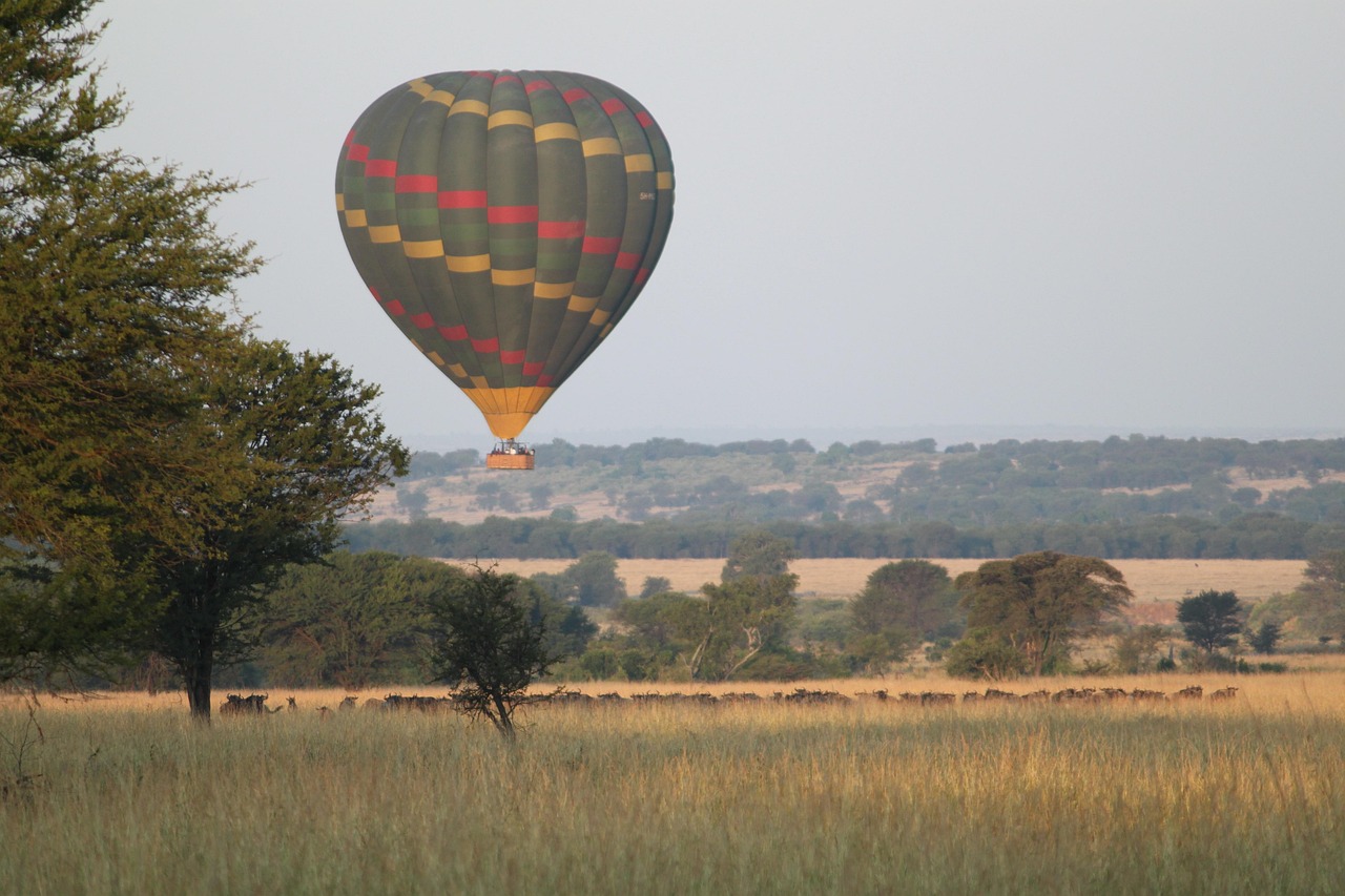 Voyage en Tanzanie : comment organiser un séjour inoubliable ?