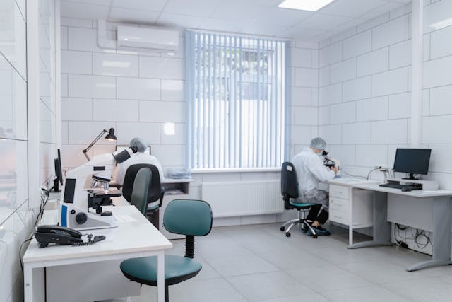Incubateur de laboratoire : Fonction essentielle en environnement scientifique