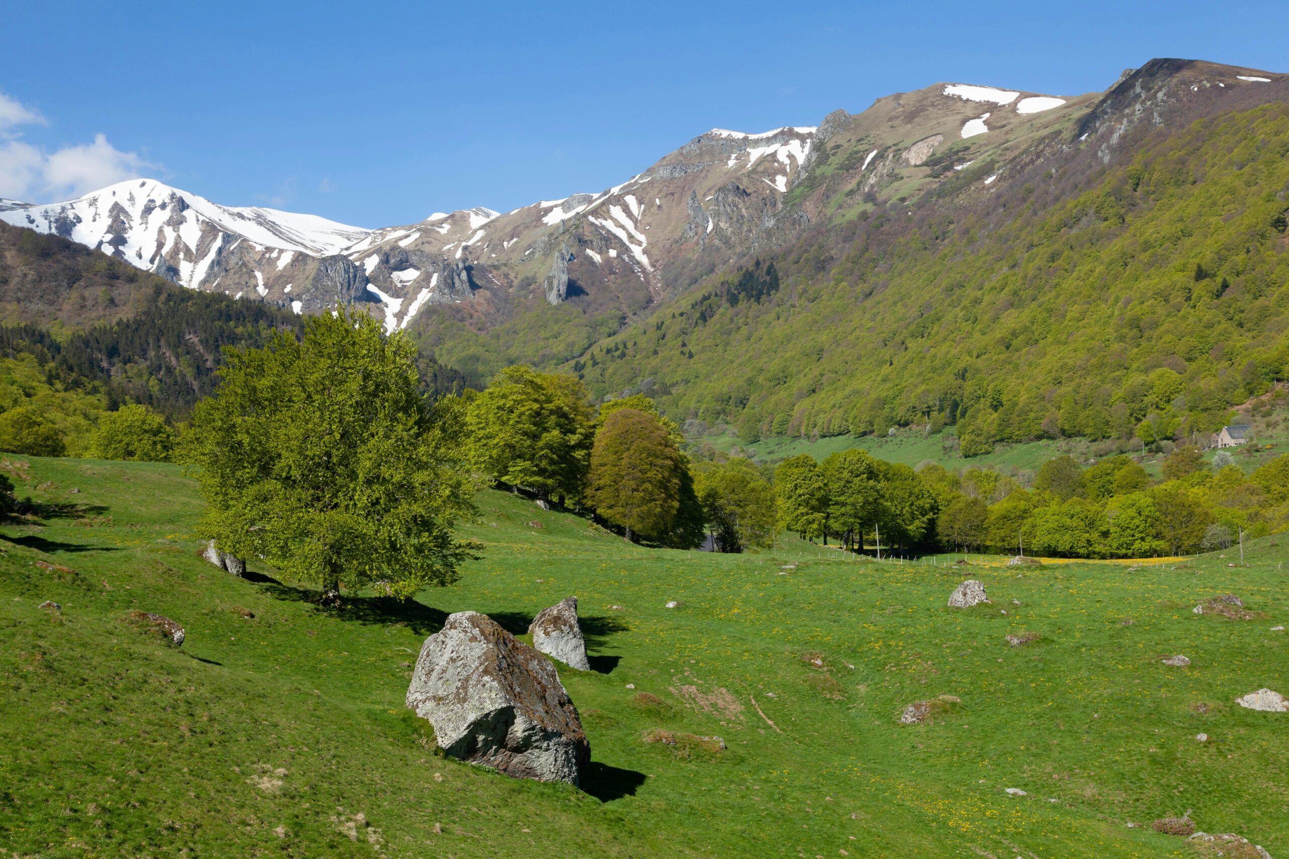 Organiser son voyage au Puy du Fou : astuces et bons plans